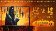 久久香蕉影视